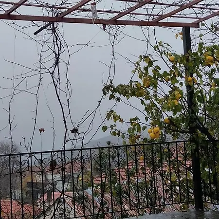 Nakou's House-το σπίτι του νάκου 아파트