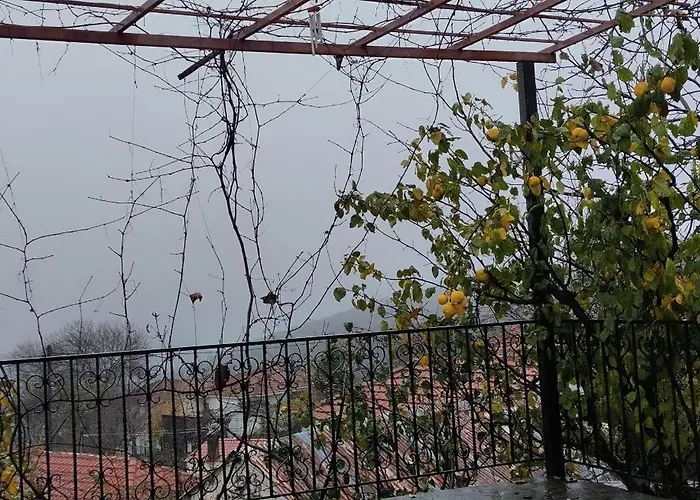 Nakou's House-το σπίτι του νάκου Apartment