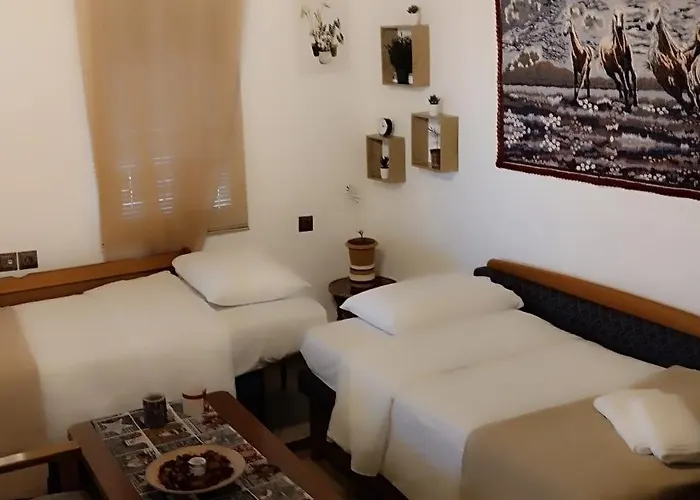 Nakou's House-το σπίτι του νάκου * Trikala (Thessaly)